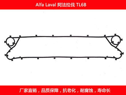 TL6B 国产板式糖心VLOG柚子猫密封垫片